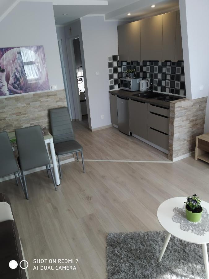 Apartamenty U" Lusi" Władysławowo Εξωτερικό φωτογραφία